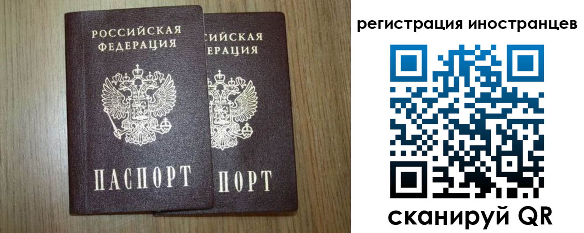 прописка для школы в Каменке